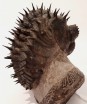 Spiny Drotops Trilobite