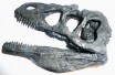 Allosaurus Skull sculpture