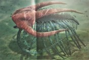 Strange Cambrian Creatures