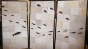 Green River Fossil Fish Panels