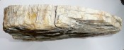 Madagascar fossil Wood