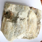 Madagascar Fossil Wood 4